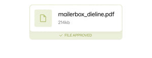 Expert check interface