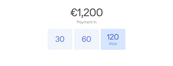 Flexible payments interface